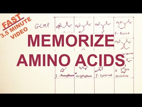 EASY-Memorize the Twenty Amino Acids: Structure and Code- tryptophan correction!