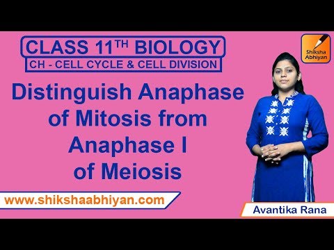 Q10 Distinguish anaphase of Mitosis from Anaphase I of Meiosis. - #CBSE Class 11 Biology Video