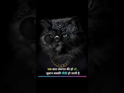 Jhoota lagda ft. Sourav Joshi vlogs,Anagha Bhosale /Nikhita Gandhi/sanjeev//new hindi song 2021🙏