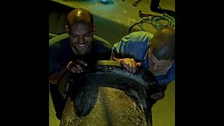 The Greatest Sacrifice🤷‍♂️| Prison Break Edit | #edit #netflix #prisonbreak #michaelscofield #sucre