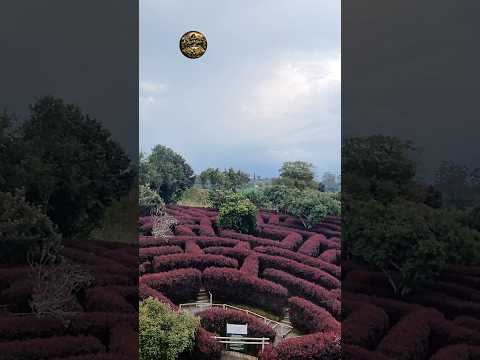 Este es uno de los laberintos más grandes de Latinoamérica 😱🇨🇴 #Shorts