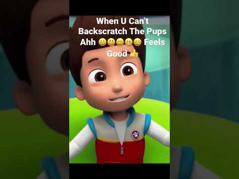 When U Can’t Backscratch The Pups