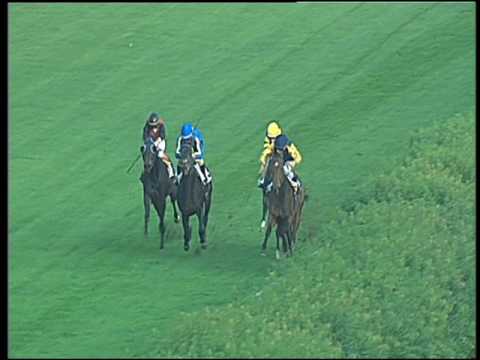 Galoppo 23/11/2016 - 2ª corsa