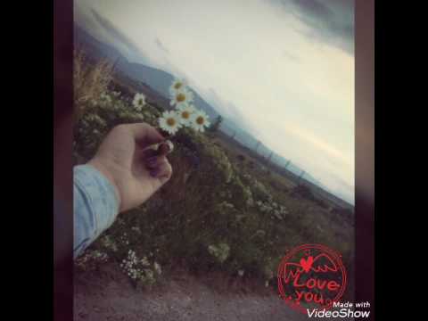 🌸Самира & Арчи - Совпали / "Три метра над уровнем неба„💕