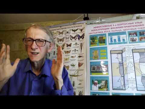 Вирусы в Пчеловодстве. Віруси в бджільництві. Viruses of Honeybees. Новости науки. ЧАСТЬ-3.