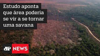 75% da Amazônia está perdendo a capacidade de recuperar da seca, diz pesquisa