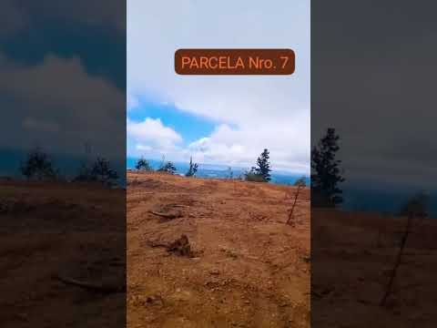 SE VENDEN PARCELAS EN PELLUHE