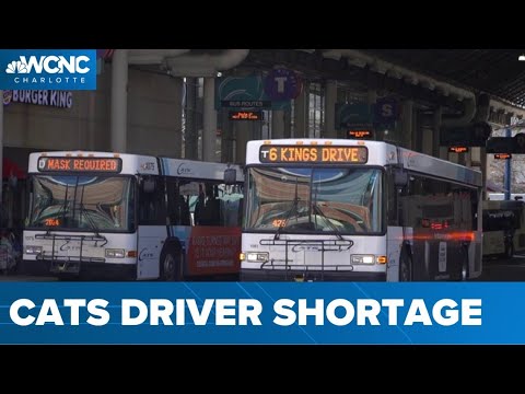 Bus driver job fair being held to fill CATS operator vacancies amid mass absences