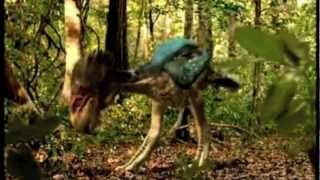 This is a World were Birds Eat Horses- (C) Walking with Beasts