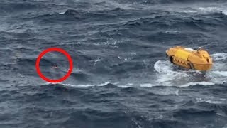 Passengers on This Disney Cruise Spotted Something in the Sea That Shocked Them