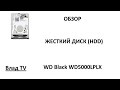 WD WD5000LPLX - видео