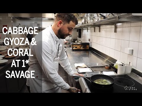 CABBAGE GYOZA & CORAL at 1 Michelin star restaurant SAVAGE in OSlo