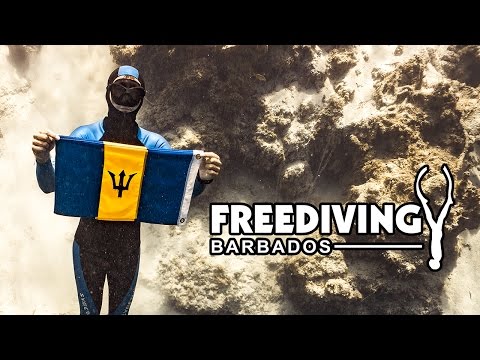 Alex Davis National Records for Barbados at Vertical Blue 2017