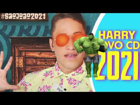 HARRY O TOP DO SÃO JOÃO AO VIVO SUCESSO