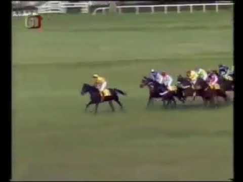113  Velká pardubická steeplechase   2003