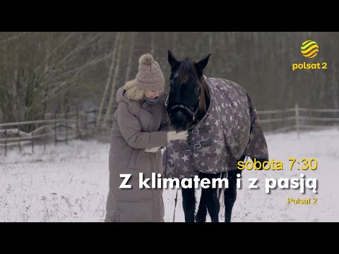 Z klimatem i z pasją; Azyl dla koni