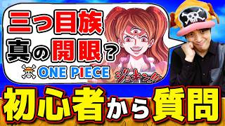 【 ワンピース 】もしかして三つ目族プリンの真の開眼って…？？ワンピ初心者の星さんの疑問に答えてみた結果！ONE PIECE