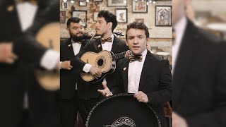 Solito en Navidad - Los Tres Tristes Tigres