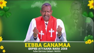 Eebba Ganamaa Bara Haaraa  Luba Qannoo Galaan Waliin / 641