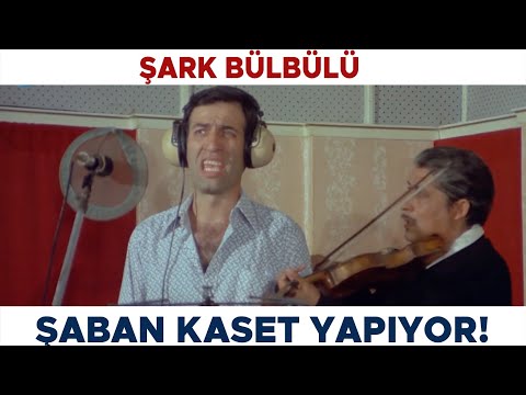 Şark Bülbülü Türk Filmi | Şaban Binlerce Kaset Satıyor! Kemal Sunal Filmleri