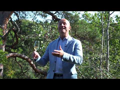 Richard Juhlin Spent 2,5 years 1 - Champagne Club