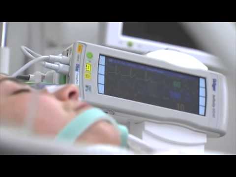 Ivona Talevska proekti za matura