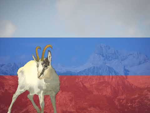 Zlatorog (Goldhorn) - Slovenian march