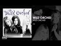 Wild Orchid Life