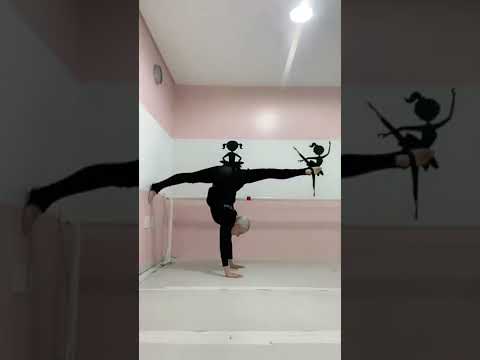 Desafio da Flexibilidade