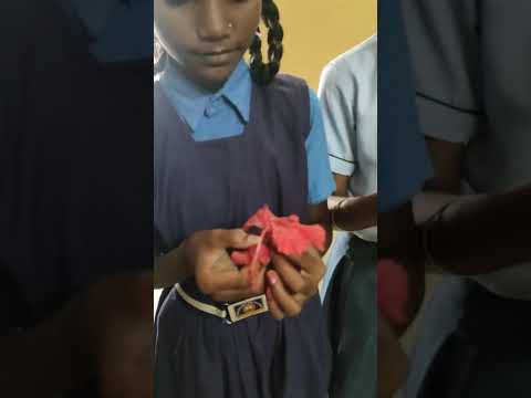 part of flowers class 6th science