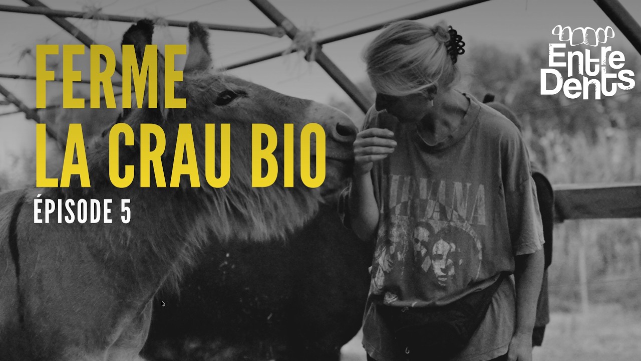 Géraldine Hazebrouck, maraîchère bio en agroforesterie à Saint-Martin-de-Crau