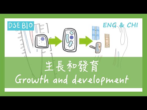 [DSE BIO - 課文重點] 17分鐘講完【生長和發育 Growth and development】！