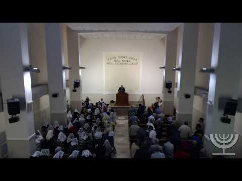 2019-06-30 Domenica Sera - Fr Gemelli - Fr Ausino - I RE cap 19