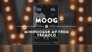 Video thumbnail for Moog Minifooger MF Trem | Reverb Demo Video by Reverb