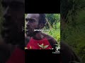 Jamaican Core Mane