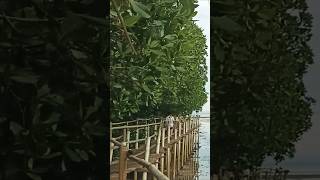 Download lagu bantayan island groove #island#groove#travel#travelcebu mp3 Download lagu bantayan island groove #island#groove#travel#travelcebu mp3