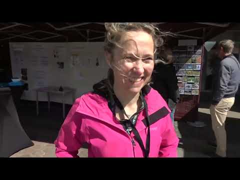 Snacka om Landskrona