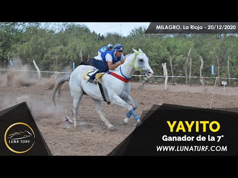 JOCKEY CLUB MILAGRO L.R. 20/12/2020 - YAYITO Y TUCA