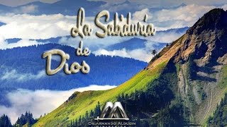 La sabiduría de Dios - Armando Alducin