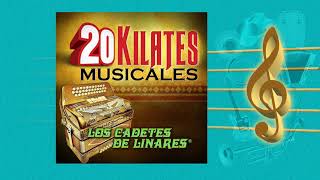 Sabor De Engaño - Los Cadetes de Linares