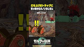 打ち上げ式トラップに引っ掛かるガノンおじさん【ゼルダの伝説 ティアキン】