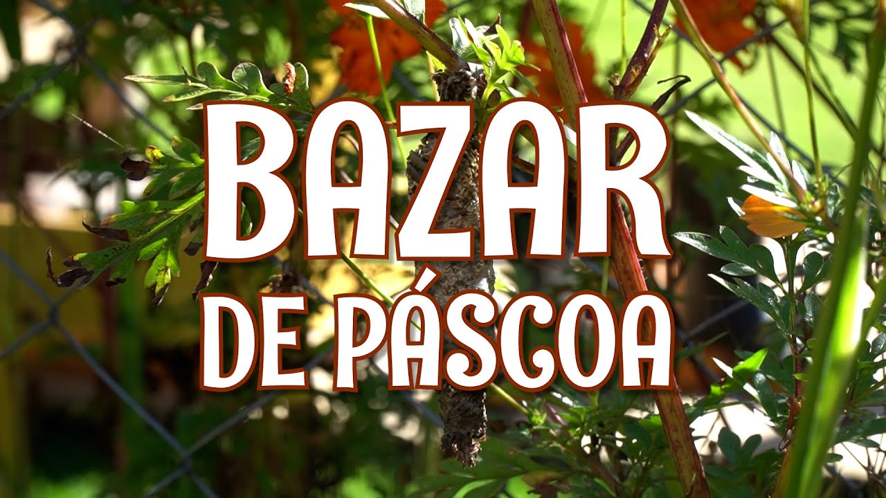 Bazar de Páscoa na Escola Waldorf Cacau