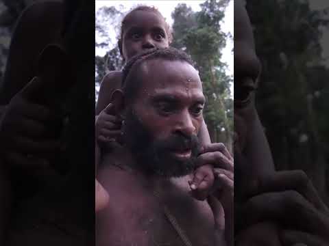 Stream 'Song of the Mamuna Tribe' On All Platforms ⏯🎶