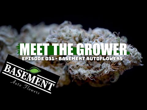 Meet the Grower Ep. 031 - Basement Autoflowers - Sponsored by Mars Hydro