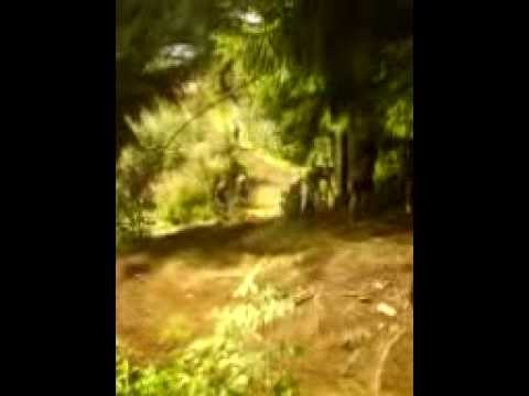 EBM 2010 Wurzelpassage