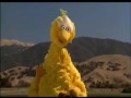 The Muppet Movie Big Bird Fan Clip
