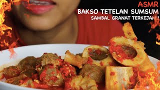 Download lagu ASMR BAKSO TETELAN SUMSUM, SAMBEL GRANAT TERKEJAM || ASMR MUKBANG INDONESIA mp3