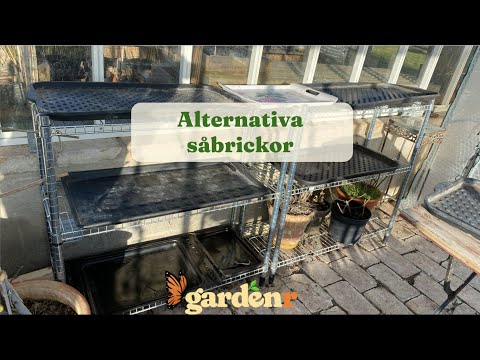 Alternative seed trays - Gardenhacks by GardenR