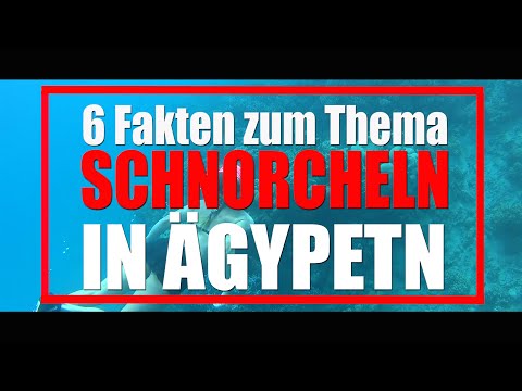 6 Fakten zum Thema Schnorcheln in Ägypten