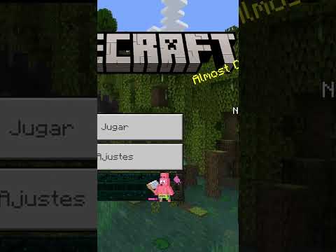 How to ENTER my NEW Minecraft SERVER!  *JAVA and BEDROCK*